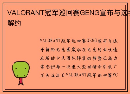 VALORANT冠军巡回赛GENG宣布与选手解约
