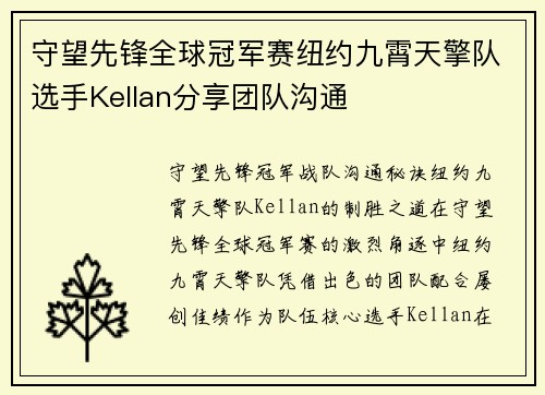 守望先锋全球冠军赛纽约九霄天擎队选手Kellan分享团队沟通